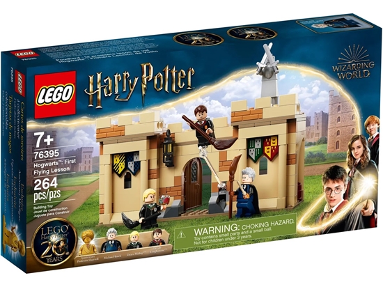 Изображение LEGO HARRY POTTER 76395 HOGWARTS: FIRST FLYING LESSON