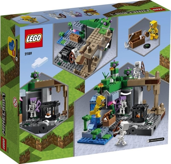 Picture of LEGO Minecraft 21189 Skeleton Dungeons