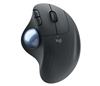 Изображение Logitech Ergo M575 Black