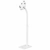 Picture of Manhattan Floor Stand (Anti theft) for Tablet and iPad, Universal, 360° Rotation, Tilt +20° to -110°, White, Lockable, Tablets 7.9" to 11", Height adjustable 790 to 1190mm,Extendable clamps: height 200 to 246mm/width 129 to 181mm,Can be bolted to floor (p