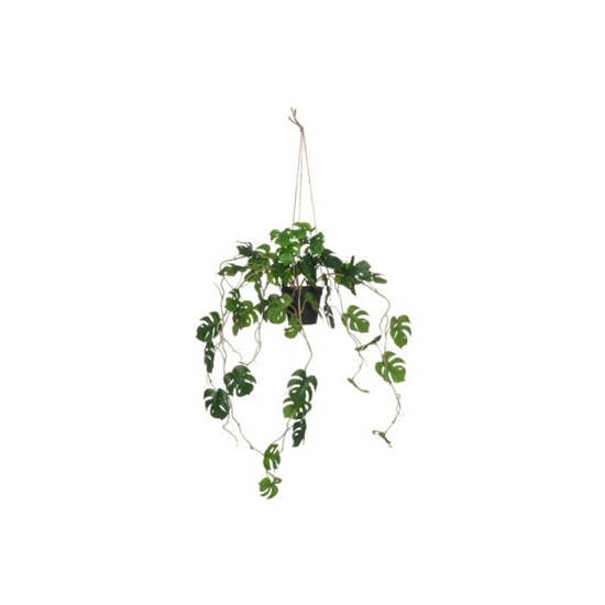 Изображение Mākslīgie augi 4Living Monstera 75cm