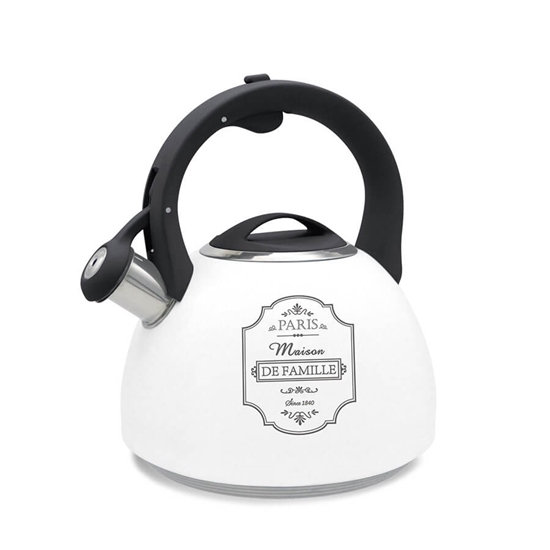 Picture of PARIS MAISON Maestro MR-1324 non-electric kettle