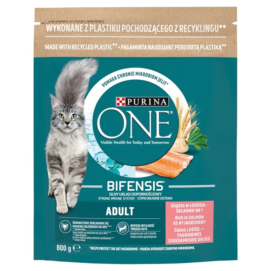 Picture of PURINA One Bifensis Adult Salmon - dry cat food - 800 g