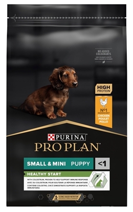 Изображение Purina Pro Plan Small & Mini Opti start - chicken - dry food for dogs - 7 kg