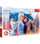 Attēls no Puzlis TREFL Frozen Magical journey MAXI 24 gb. 3+ T14298