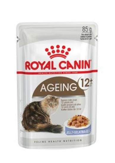 Picture of ROYAL CANIN FHN Ageing 12+ in jelly - wet cat food - 12X85g