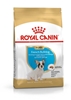 Picture of ROYAL CANIN French Bulldog Puppy - dry dog food - 3 kg