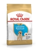 Picture of ROYAL CANIN SHN Breed Labrador Junior dry dog food - 12 kg