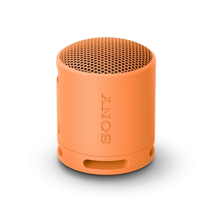 Изображение Sony SRS-XB100 - Wireless Bluetooth Portable Speaker, Durable IP67 Waterproof & Dustproof, 16 Hour Battery, Eco, Outdoor and Travel in Orange