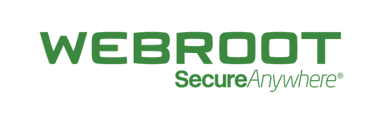 Picture of Webroot | SecureAnywhere | Complete | 1 year(s) | License quantity 1 user(s)