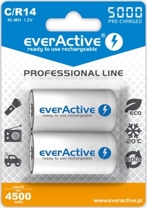 Изображение AKC.eA.PL2; R14/C akumulatori 1.2V everActive Professional line Ni-MH 5000 mAh iepakojumā 2 gb.