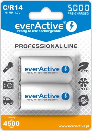 Picture of AKC.eA.PL2; R14/C akumulatori 1.2V everActive Professional line Ni-MH 5000 mAh iepakojumā 2 gb.