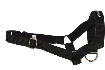 Изображение Ami Play Halter Basic L (N4) Labrador 20-37 [a] x 45-60 [b] x 2 cm Czarny