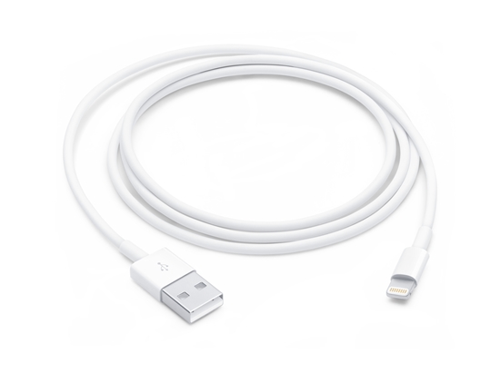 Picture of APPLE CHARGER 1M CABLE LIGHTNING TO USB MXLY2ZM/A