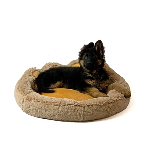 Picture of GO GIFT Dog and cat bed XL - camel - 75x75 cm