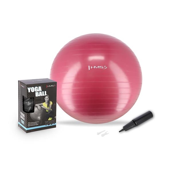 Picture of YB01N 65CM PLUM GYM BALL HMS