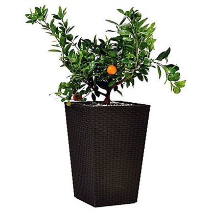 Изображение Keter Rattan Planter L 144 8L puķu pods  brūns 29192302590