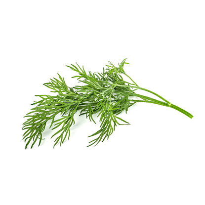 Picture of Sėklos Click and Grow Smart Garden Refill 3-pack - Dill