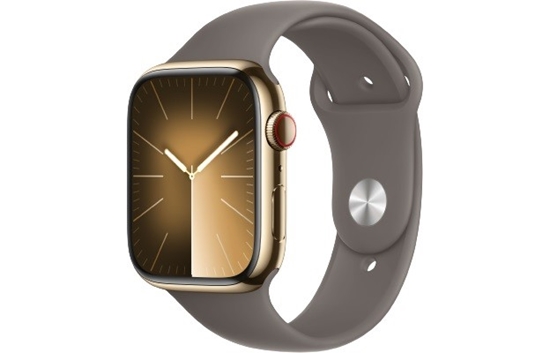 Picture of Watch Series 9 GPS + Cellular, 45mm Koperta ze stali nierdzewnej w kolorze złotym z paskiem sportowym w kolorze popielatego brązu - M/L