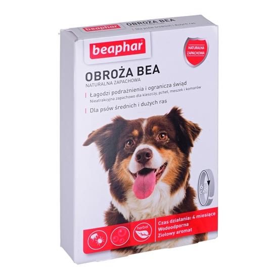 Picture of Beaphar protective collar for dogs, size M/L