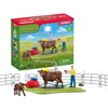 Изображение Schleich Farm World    42529 Happy Cow Wash