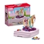 Изображение Schleich Sofia's Beauties Horse Grooming Station     42617