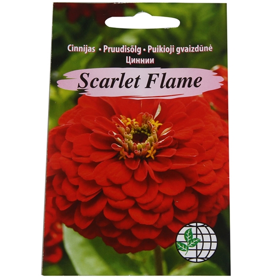 Изображение Sēklas Cinnijas Scarlet Flame AMC 1gr.