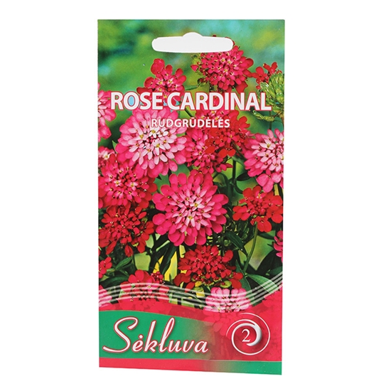 Picture of Sēklas Īberes Rose Cardinal 0.5g