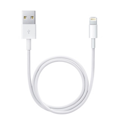 Изображение APPLE LIGHTNING TO USB CABLE 0.5M ME291ZM/A