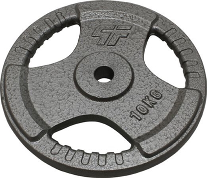 Attēls no Ketaus svoris Platinum Fitness Beltor PF Line, 10kg, 29mm