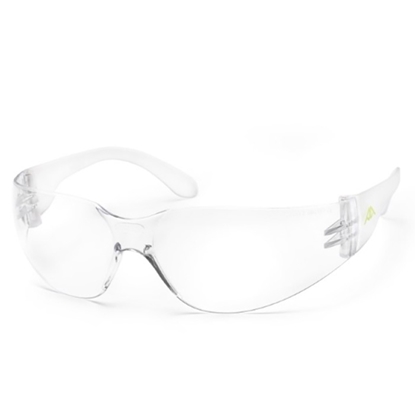 Изображение Aizsargbrilles Active Vision caurspīdīgas