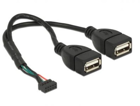 Изображение Cable USB 2.0 pin header female 2.00 mm 10 pin  2 x USB 2.0 Type-A female 20 cm