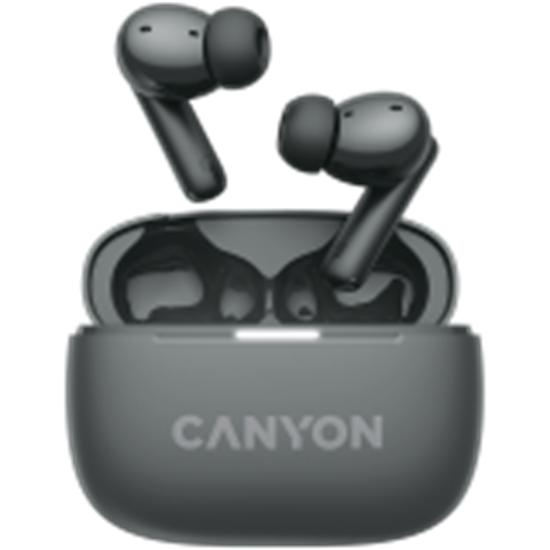 Picture of CANYON CNS-TWS10BK