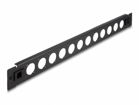 Picture of Delock 19″ D-Type Patch Panel 12 port tool free black