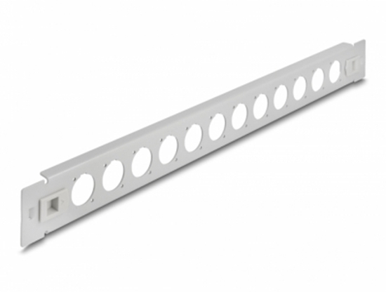 Picture of Delock 19″ D-Type Patch Panel 12 port tool free grey