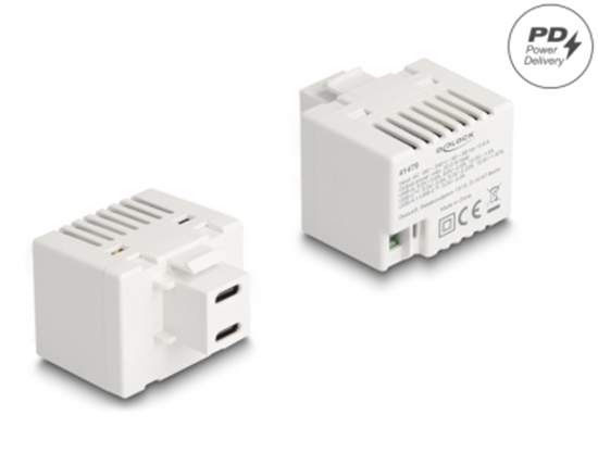 Picture of Delock Keystone Module with 2 x USB Type-C™ Charging Port PD 20 W white