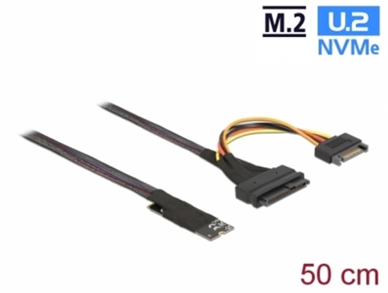 Изображение Delock M.2 Key M to U.2 SFF-8639 NVMe Adapter with 50 cm cable