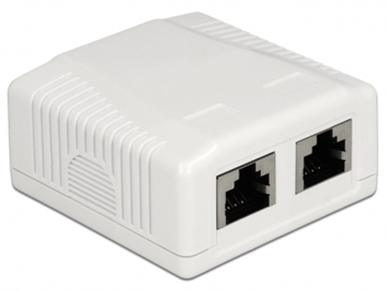 Picture of Delock Network Wall Outlet 2 Port Cat.6A LSA