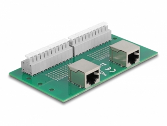 Picture of Delock RJ50 2 x female to 2 x Terminal Block with push-button for DIN rail