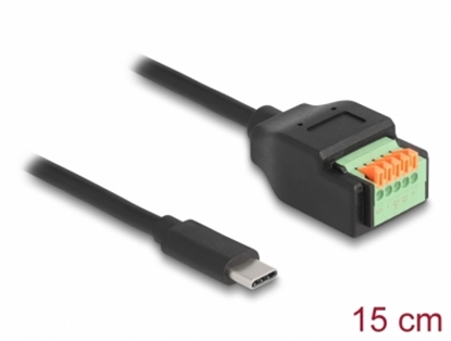 Attēls no Delock USB 2.0 Cable USB Type-C™ male to Terminal Block Adapter with push button 15 cm