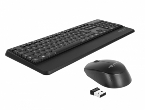 Picture of Delock USB Keyboard and Mouse Set 2.4 GHz wireless black (Wrist Rest)