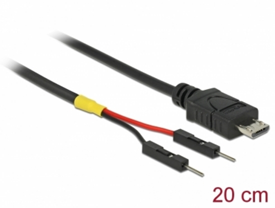 Изображение Delock USB Power Cable Micro-B to 2 x pin header male separate power 20 cm