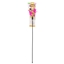 Picture of DINGO Fishing rod Foxi - cat toy