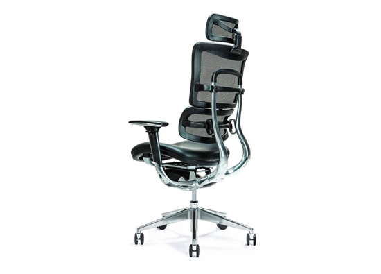 Изображение Ergonomic office chair ERGO 800 black