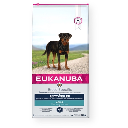 Picture of EUKANUBA Adult Rottweiler - dry dog food - 12 kg