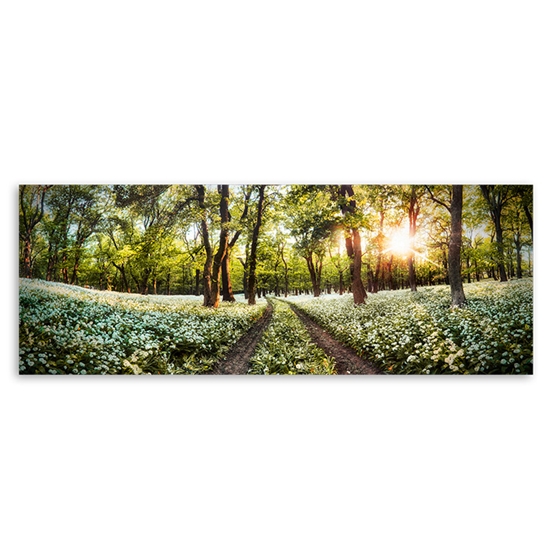 Picture of Foto glezna 50x125cm SPRING