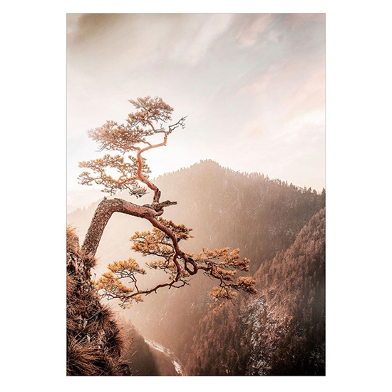 Изображение Foto glezna 50x70cm BROWN TREE