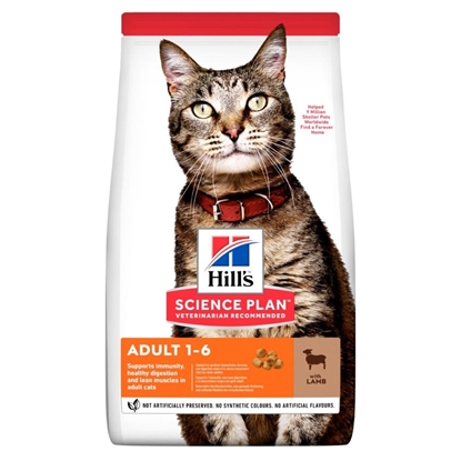 Attēls no HILL'S SP Adult Lamb - dry cat food - 3kg