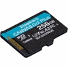 Picture of Kingston Canvas Go Plus 256GB microSDXC w/o ADP