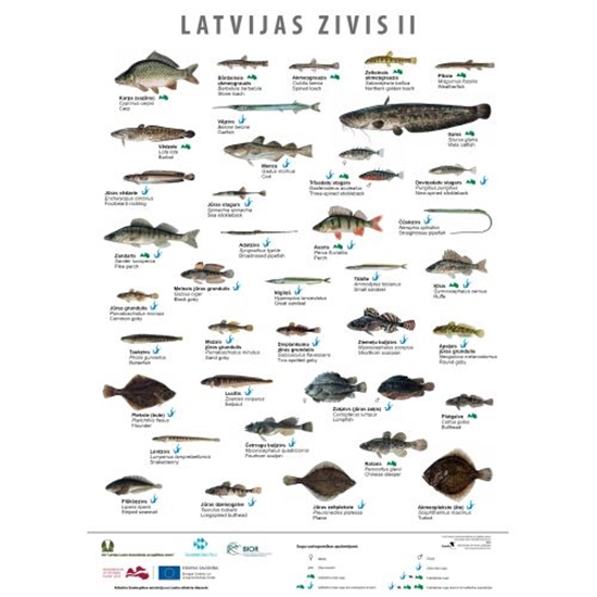 Изображение Latvijas Zivis II